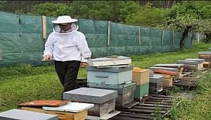 İklim değişikliği için Avrupa Birliği'ne dava açıldı