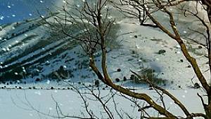 İklim Değişikliği Ne demek? - Türkiye'nin İklim Değişikliğinde Konumu!