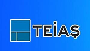 Rakamlarla Türkiye Elektrik Durumu