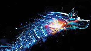 Kripto yazılım ile sizin elektriğinizi kullanıyorlar