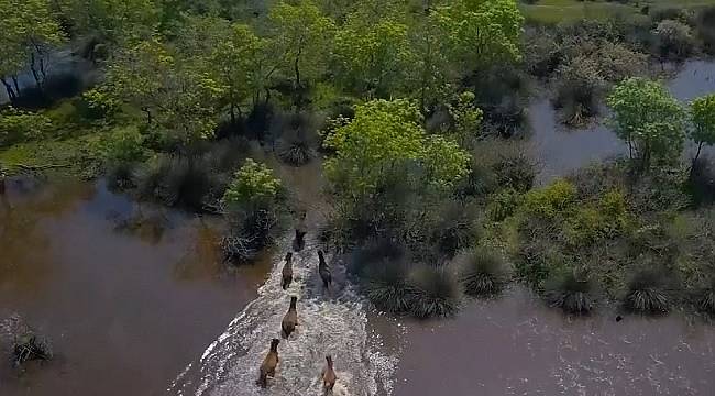 Ziyaret şart: Longoz insanı gerçekten büyülüyor