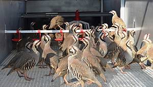 Sürdürülebilir doğa için üretiliyor