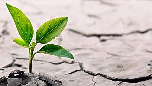 Sürdürülebilir Gıda ödülleri başvuruları devam ediyor