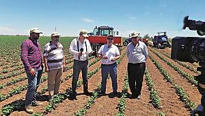 Çiftçilerin enerji ve su maliyetini yüzde 30 düşürdü