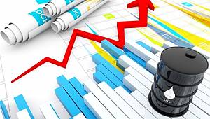 Türkiye en fazla ham petrolü İran ve Irak'tan aldı