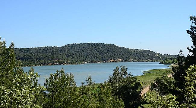 Türkiye&#039;nin 232. Tabiat Parkı Uşak&#039;ta ilan edildi