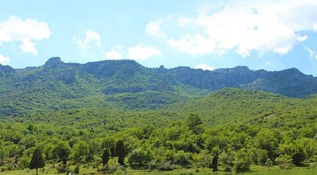 Türkiye&#039;nin 234. Tabiat Parkı oldu