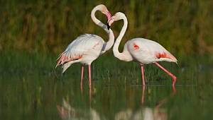 Türkiye'nin ilk ve tek A Sınıfı Milli Parkı