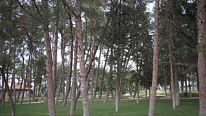 241. Tabiat Parkı Gaziantep’de ilan edildi