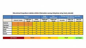 Ağustos-Eylül dönemi elektrik-doğalgaz talebi orta seviyeye düşecek
