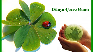 Çevre için: Küçük şeyler, Dünyayı yeniler