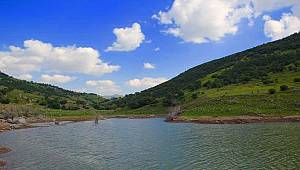 Türkiye'nin 239. Tabiat Parkı Afyonkarahisar'da açıldı