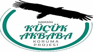 Vaillant Akbaba Projesi’nin ikinci etabı  Mersin’de başlıyor