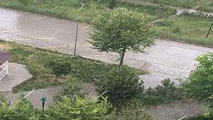 Yine Ankara, Yine Kar yağdı!