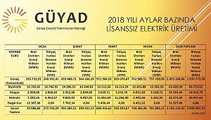 İşte aylara göre 2018 yılı lisanssız elektrik üretimi