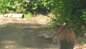 Türkiye’nin en büyük blok ormanları sizi bekliyor