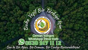 Bu telefonla hem bir ağacı hem de bir canlıyı kurtarabilirsiniz