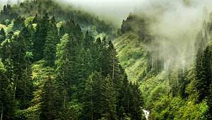 İklim için konuştular