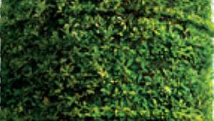 TEİAŞ atık motor yağı satacak