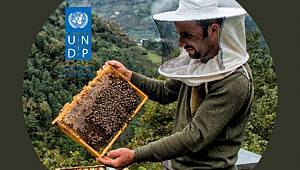 UNDP: 14 Eylül'de açıklayacak