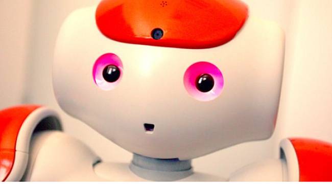 Yalvaran bir robotun fişini çekermisiniz?