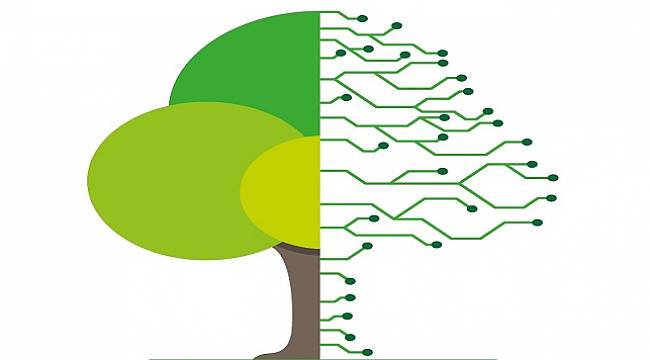 7 bin 118 ağacın kesilmesini önledi