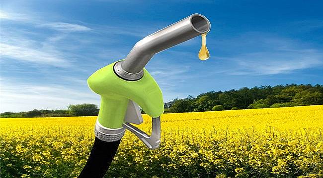 Atık Yağlar Yakıt Oluyor