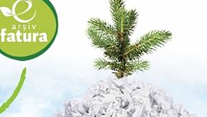 Elektrikte elektronik faturaya geç: Ağaç diksin