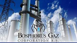 Gazprom went out from Turkey's domestic market