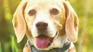 Kayserigaz: Yaşam onlarla daha güzel