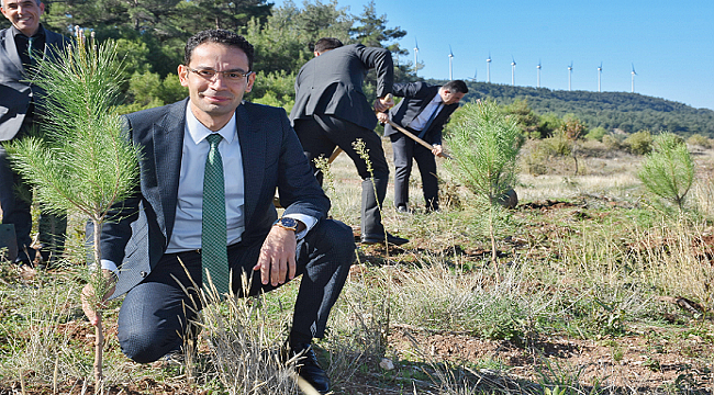 Limak Enerji ilk fideyi Çanakkale&#039;ye dikti
