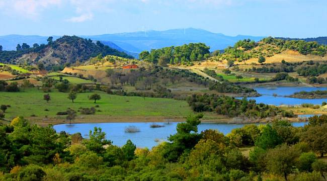 TEMA Vakfı duyurdu: Kömür Santrali ÇED iptal
