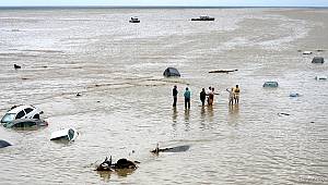 TEMA VAKFI 'İKLİM' İÇİN SESLENDİ: Paris Anlaşması onaylayarak harekete geçilmeli