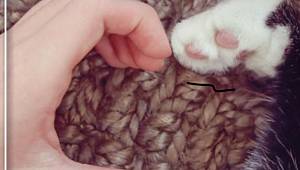 Zorlu Enerji: Bunları biliyormuydunuz?