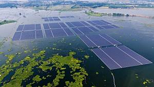 100 kattan fazla büyüdü