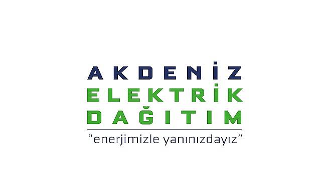 Elektrik şebekesi ve sayaçlara müdahale ediyorlardı