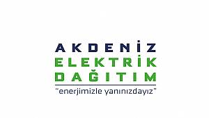 Elektrik şebekesi ve sayaçlara müdahale ediyorlardı