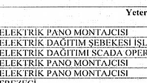 Elektrik: Bu meslekler  için Mesleki Zorunluluk Belgesi şart
