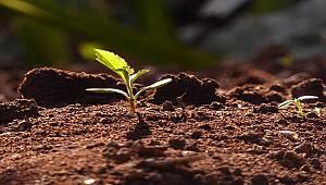 TEMA: Toprağı koru İklimi Koru