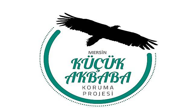 Vaillant ve Doğa Derneği işbirliği: Küçük Akbaba Projesi