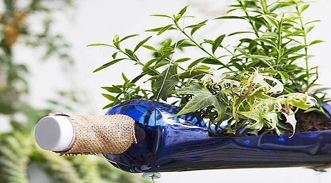 Evde de olur: ÖRNEK