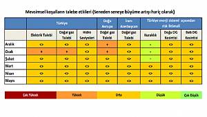 Ocak'ta elektrik ve doğalgaz talebi yüksek olacak