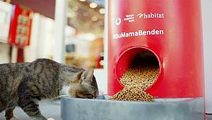 Students developed Feeder for street animals