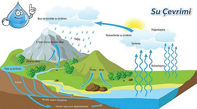 Su Çevrimi ne demek?