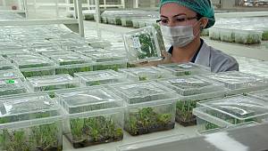 Teknolojik yatırım karşılığını ald: Ar-Ge Merkezi oldu