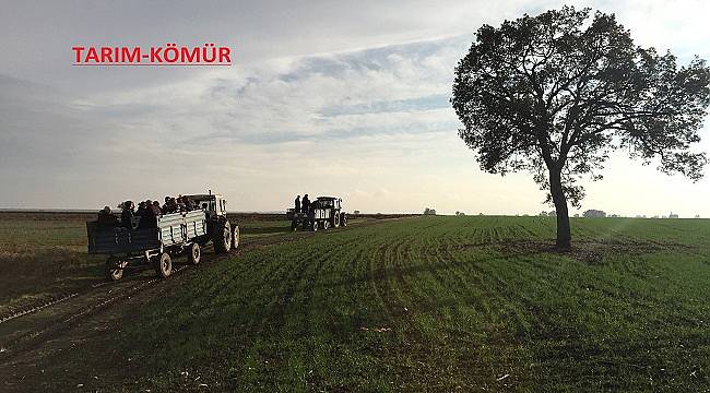 TEMA: 2018&#039;i ÇEVRE açısından değerlendirdi