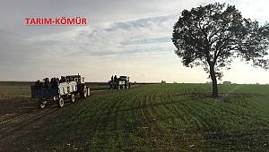 TEMA: 2018'i ÇEVRE açısından değerlendirdi