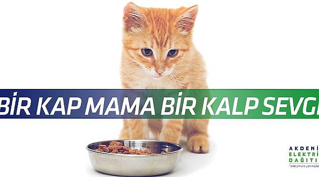 Akdeniz Elektrik: Küçük Dostlarımızı lütfen geri çevirmeyin