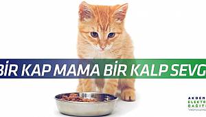 Akdeniz Elektrik: Küçük Dostlarımızı lütfen geri çevirmeyin