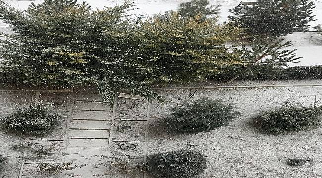 Ankara yeniden beyaza büründü